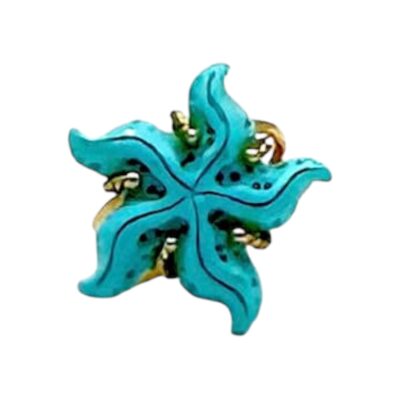 Anello con stella di turchese